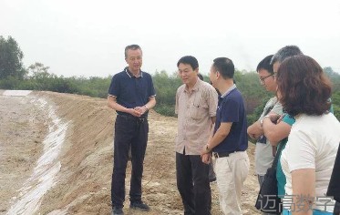 变乱动画，变乱动画仿照