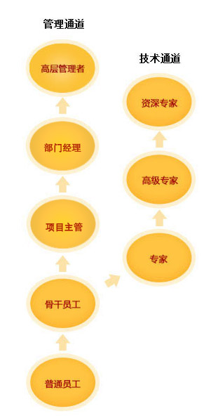 恒盛官网数字员工成长通道