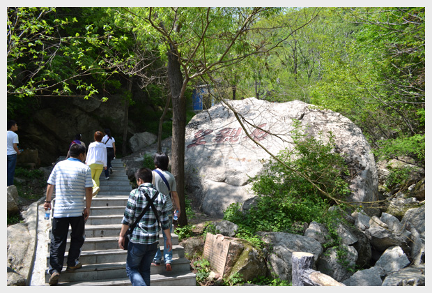 2012年5月5日王顺山丛林公园户外拓展活动