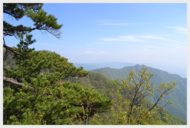 2012年5月5日王顺山丛林公园户外拓展活动