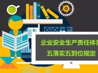 安全月动画《企业安全出产责任系统五落实五到位划定》