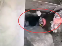 痛心！！活活被挤死，，仅剩一顶安全帽！！失去安全意识的价值太惨烈