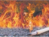 返岗员工肯定要知晓这些防火须知？？