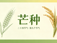 今日芒种｜暴雨+高温，，，安全勿松弛