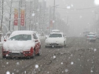 “雾霾雨雪”频仍造访 四招教你安全行车